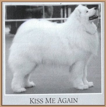 Kiss Me Again