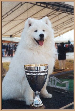 Opera Di Michelangelo