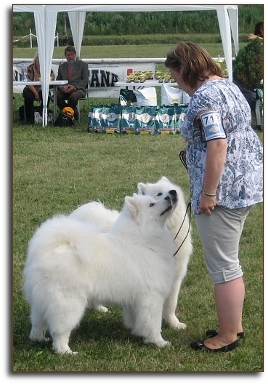 BIS 3 Brace in Jaunmarupe, Latvia