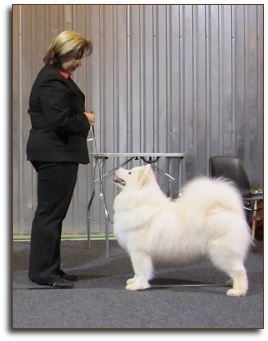 Vesta BOB in Tartu, Estonia