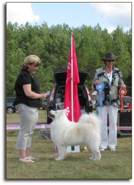 Ronja BIS 1 Veteran in Druskininkai