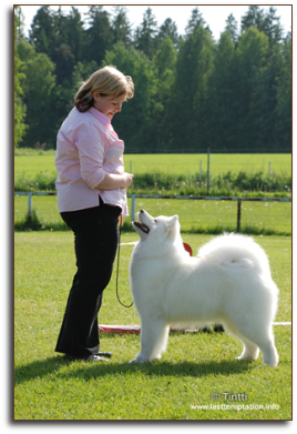 Gale in the Speciality, copy: Kristiina Keskitalo