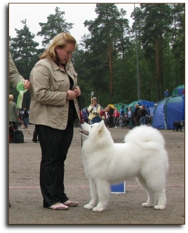 Gale and Jenni in Heinola All Breed Show