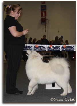 Zelda and Jenni in Finnish Winner 2008