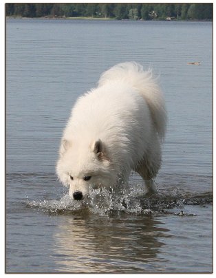 Zelda tries to handle the water...