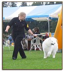 Puppy Show Helsinki 2005