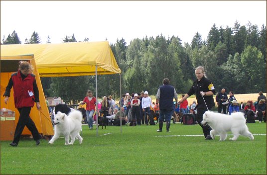 R�lli in Puppy Show 2005