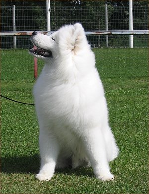 R�lli pentun�yttelyss� 2005