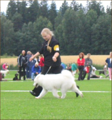 Zelda in Puppy Show 2005