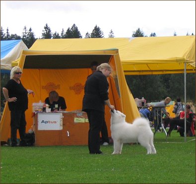 Zelda in Puppy Show 2005