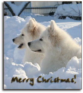 Merry Xmas by Zelda and Ronja