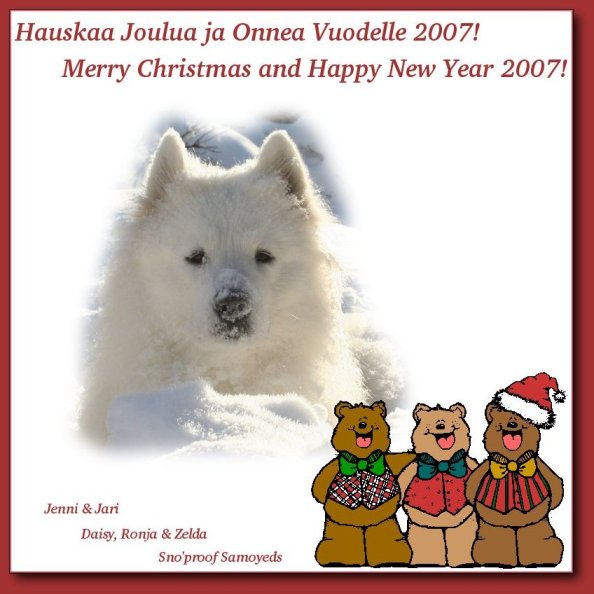 Hauskaa Joulua/Merry Christmas