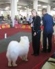 Euro Dog Show 2007