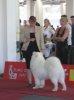 Euro Dog Show 2007