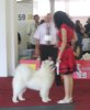 Euro Dog Show 2007