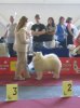 Euro Dog Show 2007