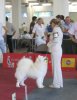 Euro Dog Show 2007