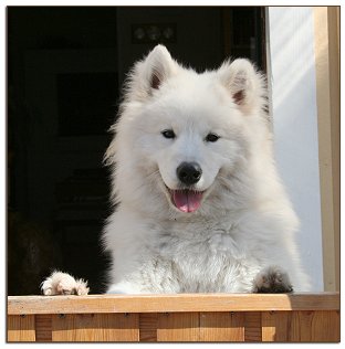 Zelda welcomes the summer